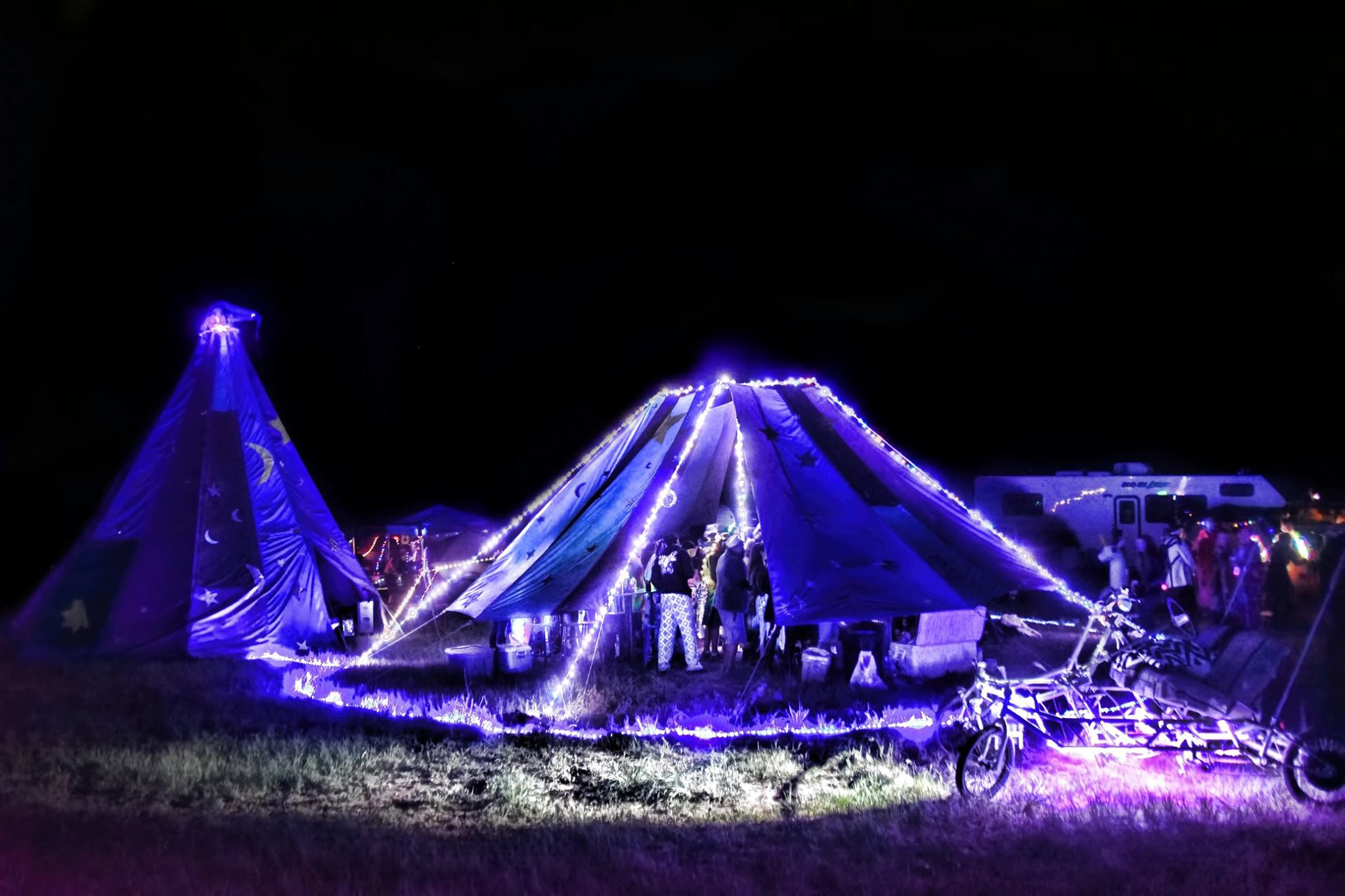 Apogaea 2019